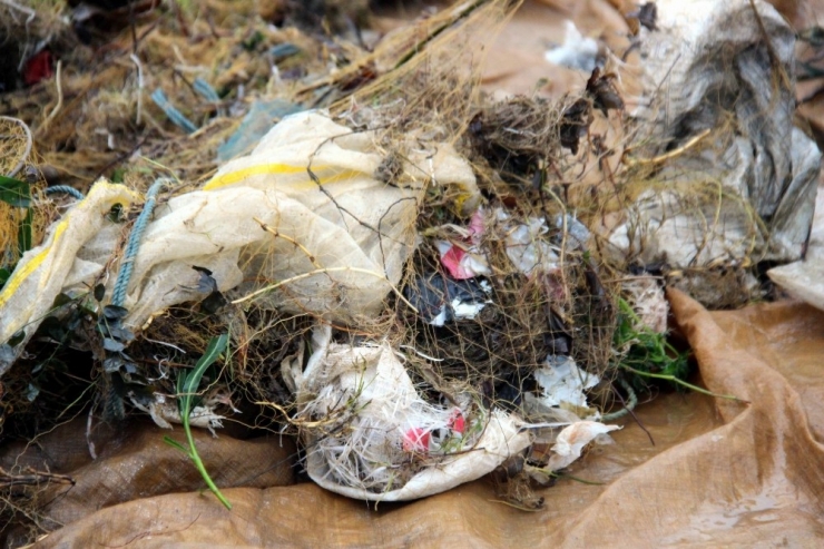 Balığa Niyet, Çöpe Kısmet