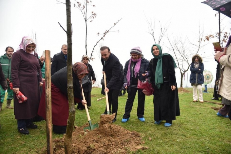 Fidanlar Toprak İle Buluştu
