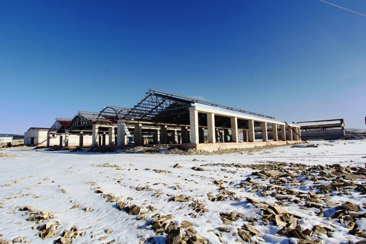 Hayvancılığın Kalbi Bayburt’ta Atacak