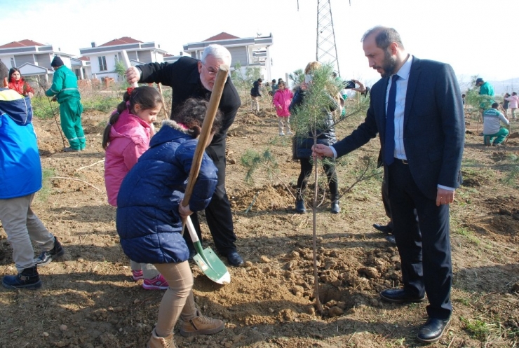 İzmit’te Kafkaslar İçin Hatıra Ormanı