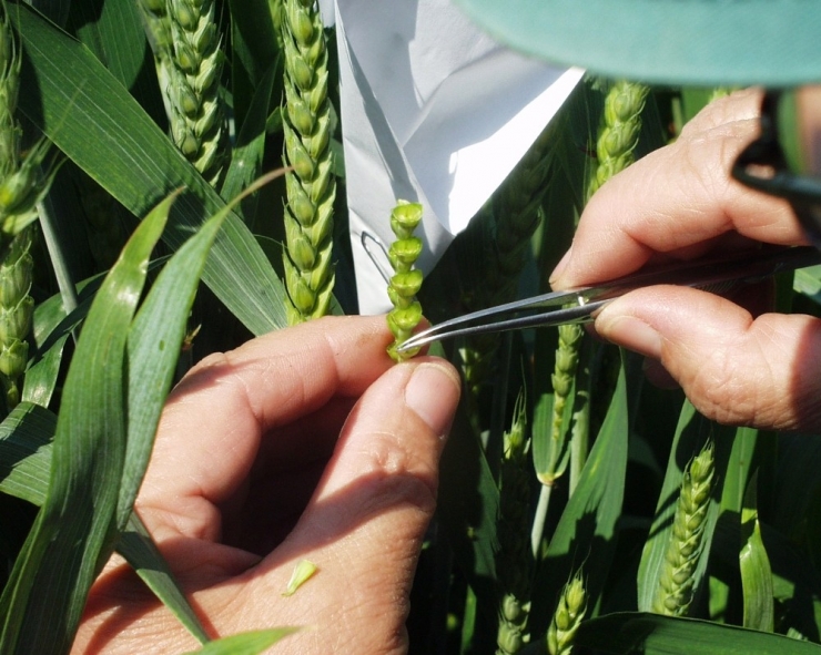 Türktob Başkanı Kamil Yılmaz: