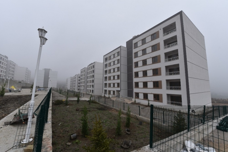 Yunuskent’te Çevre Düzenlemeleri Başladı