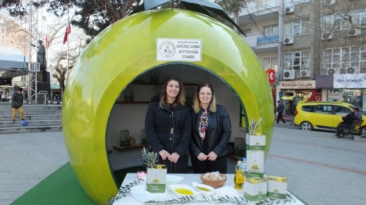 Tariş’de Zeytin Alımı Rekoru Gene Burhaniye’de