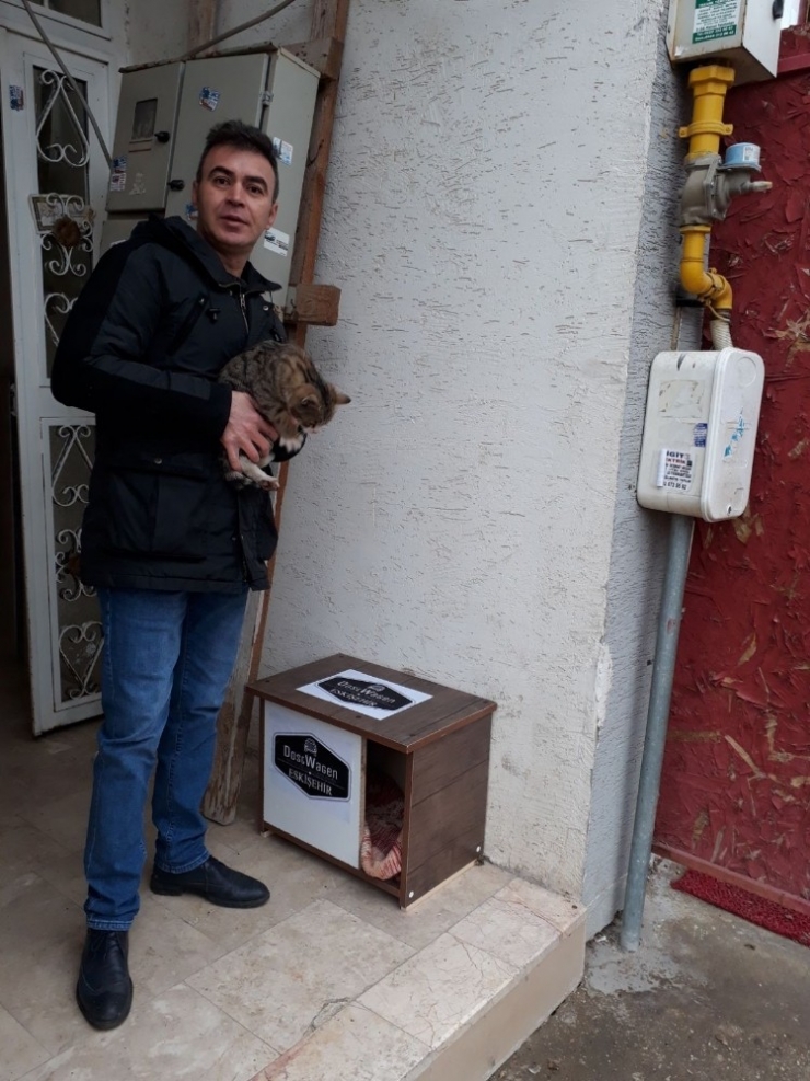 Sokak Kedileri İçin Duyarlı Davranış