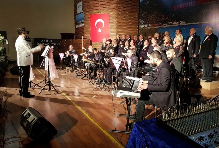 Edremit’te Tsm Konseri