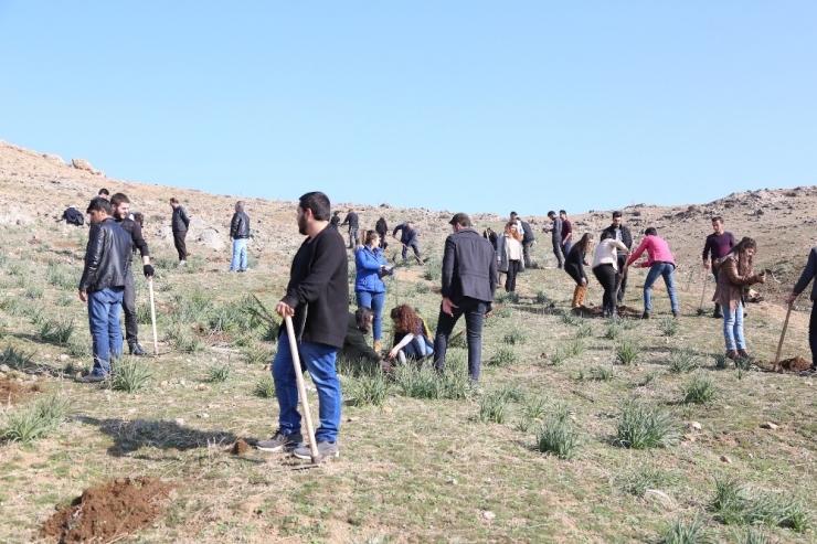 Geleceğin İçin Bir Fidan Da Sen Dik