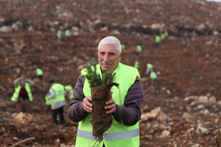 Milyonlarca Fidanın ’Naki Dede’si