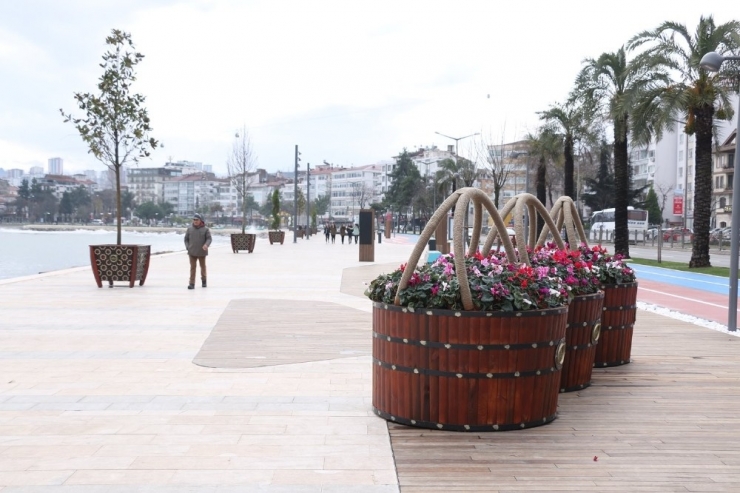 Ordu Çiçek Bahçesi Gibi