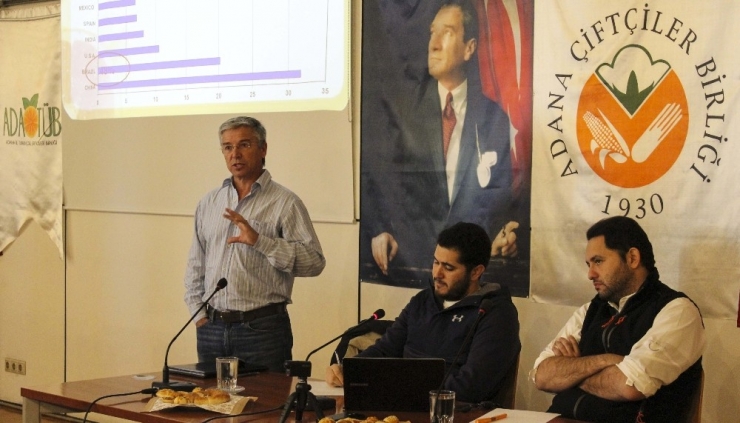 Turunçgillerde Tüketim Sezonu Uzuyor