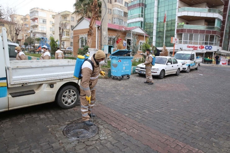 Haliliye’den Selahattin Eyyubi’de İlaçlama Ve Budama Çalışması