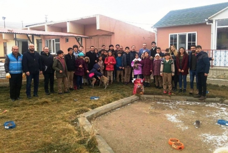 Minikler Sokak Hayvanlarını Unutmadı