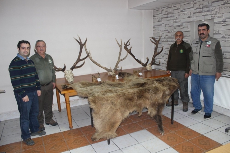 Milli Parklar 2017 Yılında 150 Bin Tl Para Cezası Kesti