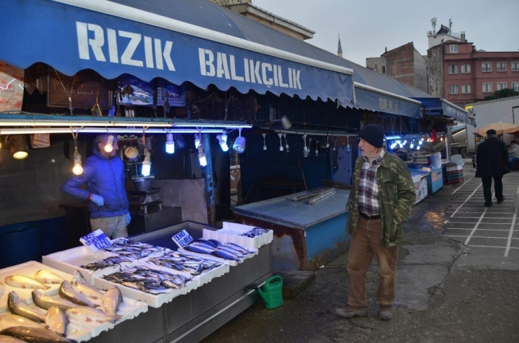 Ne Rus, Ne De Gürcü Hamsisi Çare Olmadı