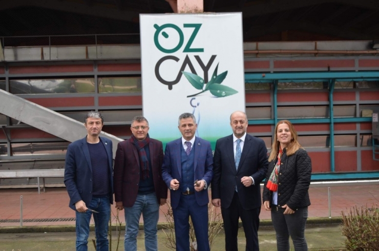 2,5 Yapraklı Organik Yeşil Çay İçin Dünya Sıraya Girdi