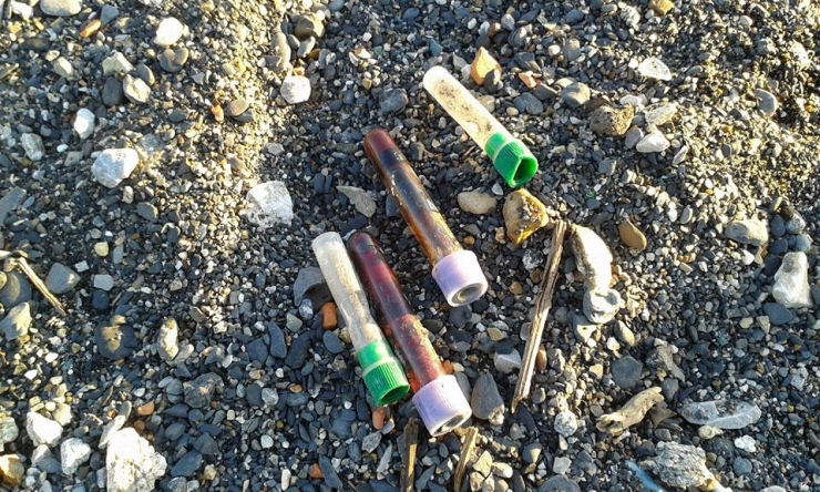 Sahile Vuran Tıbbi Atıklar Halkı Endişelendirdi