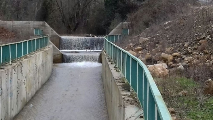 Su Kanalına Düşen Karaca Kurtarıldı