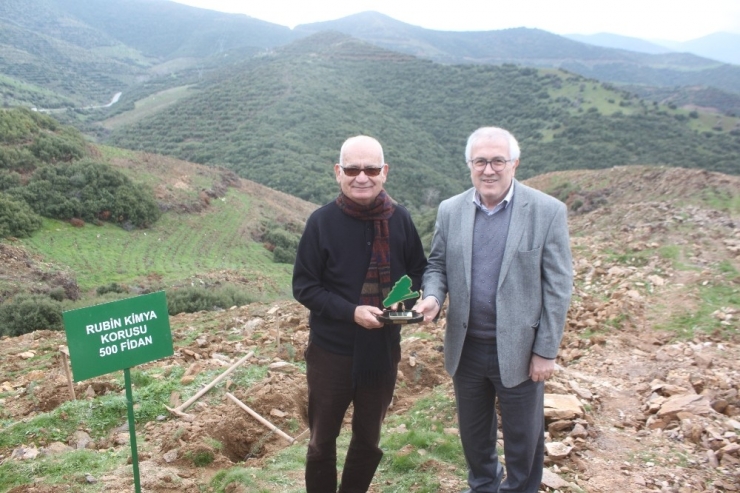 Çalışanları Ve Müşterileri İçin 500 Fidan Diktiler