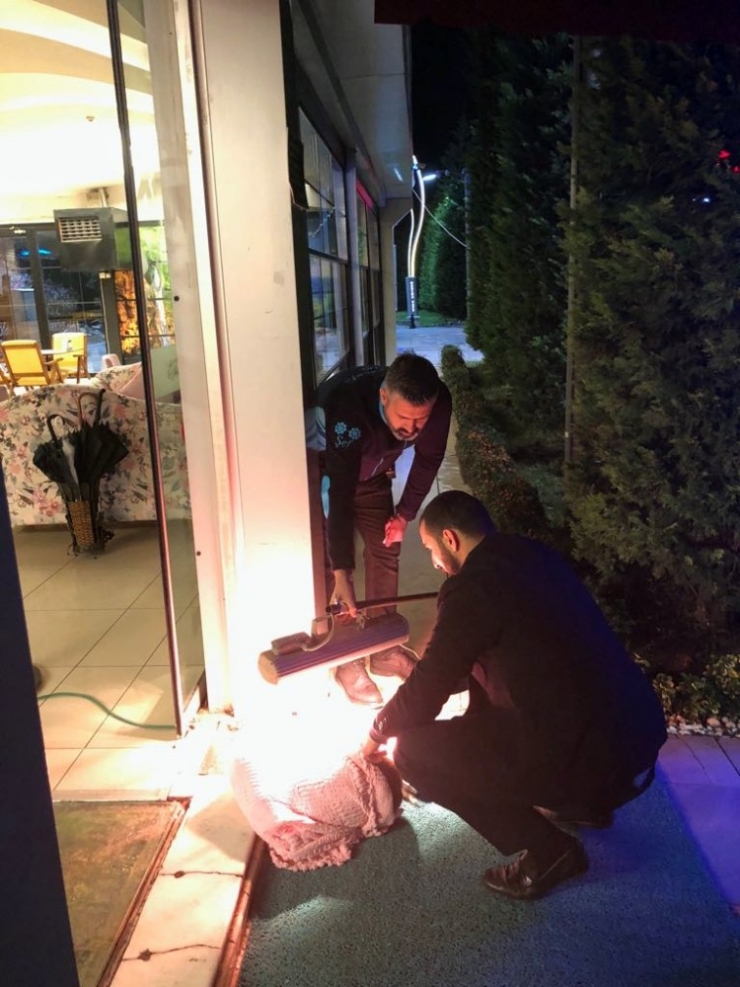 Üşüyen Köpeği Battaniyeye Sarıp, Isıtıcı İle Isıttılar