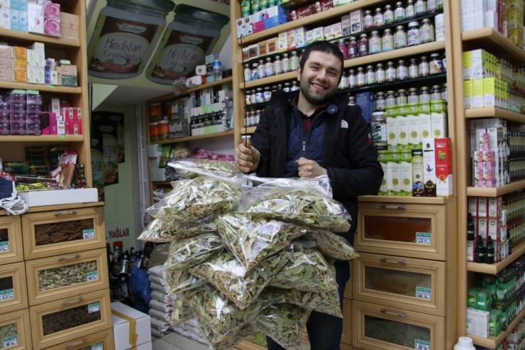 Kışın Vazgeçilmezi Ihlamur 70 Tl’den Satılıyor