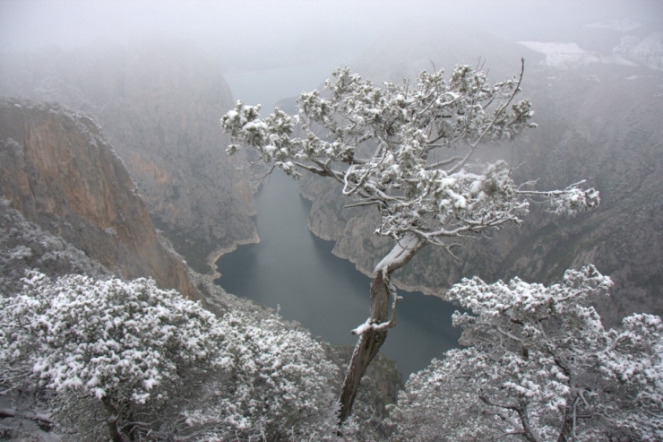 Kanyonda Karlı Manzara