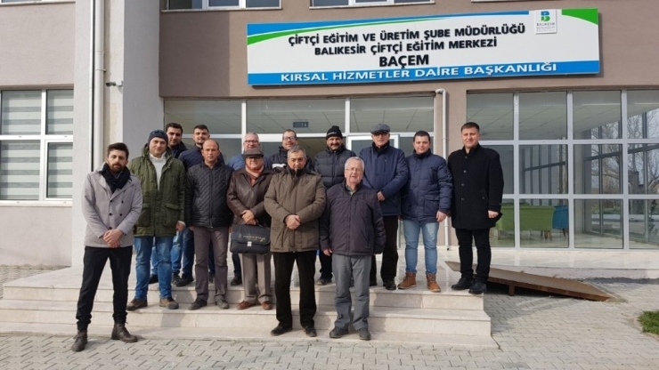 Zeytin Dernekleri Federasyonundan Zeytin Dalı Harekatına Destek Mesajı