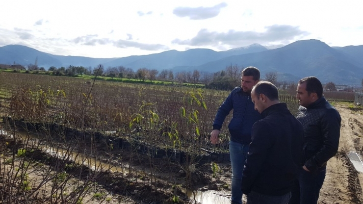 Votaş’tan İddialı Hazırlık