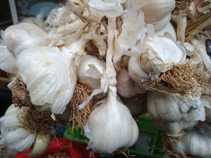 Sarımsağın Fiyatı Yükseldi