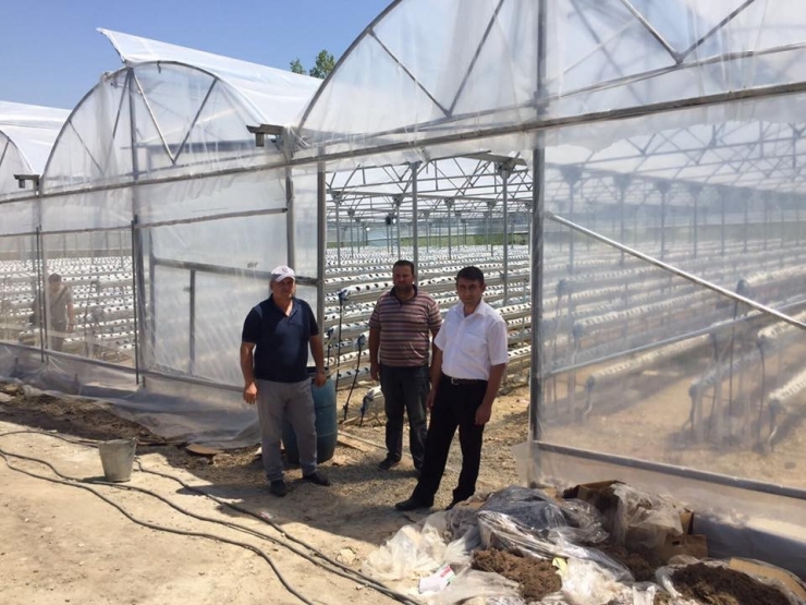 İnegöl’ün Örtü Altı Hazinesi