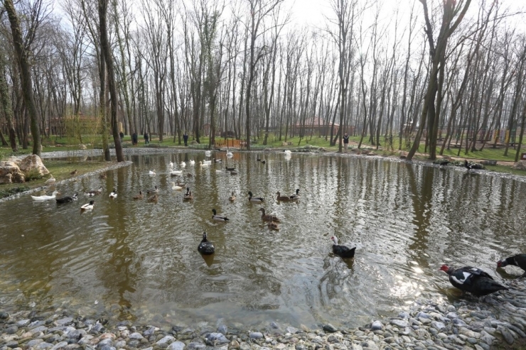 Avrupa’nın En Büyük Doğal Yaşam Parkı Kocaeli’de