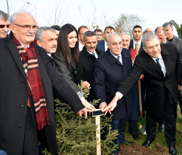 Omü’de Plaketler Fidana Dönüştü, 454 Fidan Toprakla Buluştu