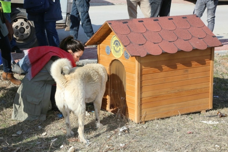 Odunpazarı’nda Sokaktaki Canlar Evsiz Kalmadı