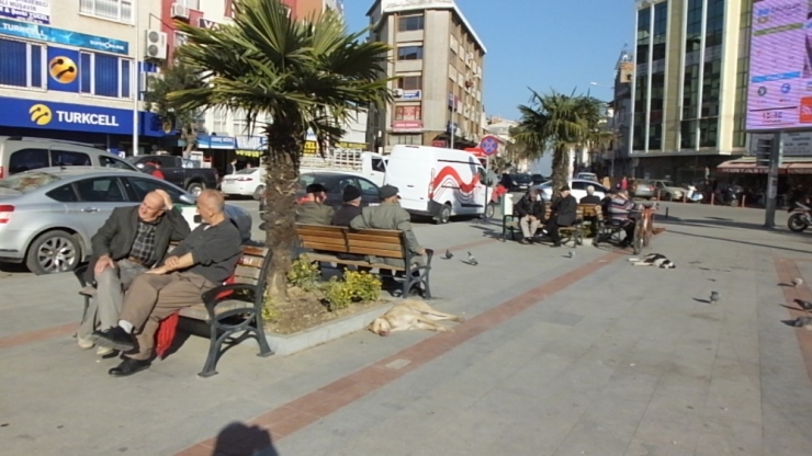 Burhaniye’de Kış Ortasında Bahar Havası Yaşandı