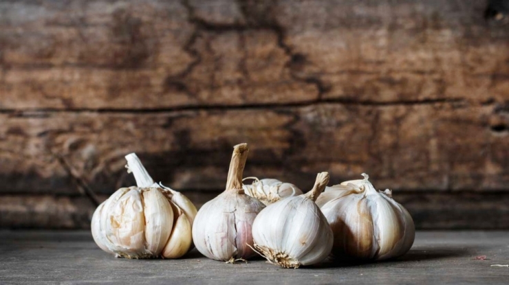 Sarımsağın 5 Farklı Etkisi Araştırıldı