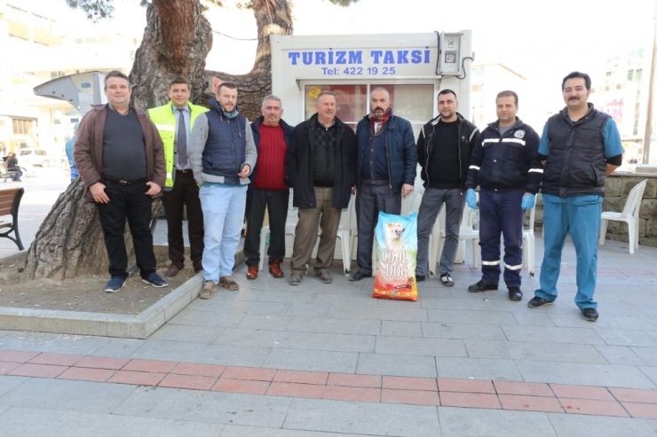 Burhaniye’de Sokak Köpeği Kampanyası