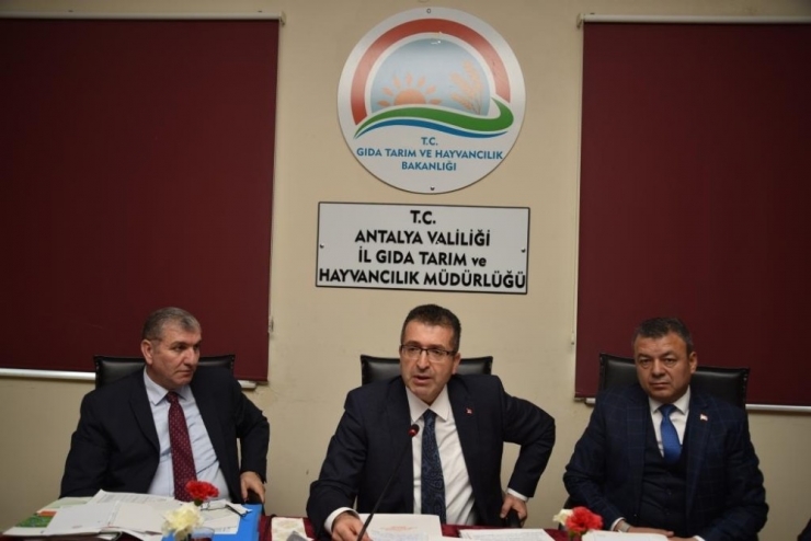 Antalya Tarımı Masaya Yatırıldı