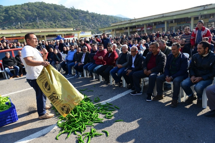 Üretici Biber Fiyatlarındaki Yüzde 50’lik Düşüşe Çare Arıyor