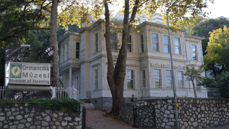 Tarihi Ormancılık Müzesi Bir Yılda 10 Bin Ziyaretçi Ağırladı