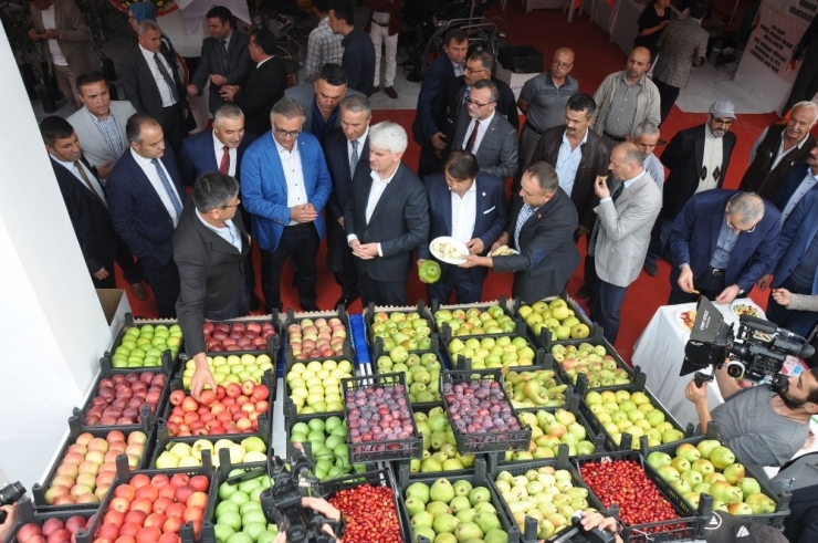 İnegöl Tarımı Mobilya İle Yarışıyor