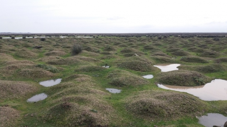 Ak Partili Ceylan: "Türkiye’de Van Gölü Kadar Bir Sulak Alan 1950 Yılından Sonra Yok Edildi"