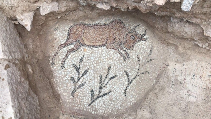 Antik Çağın Hac Merkezinde Bin 500 Yıllık Kilise Ortaya Çıkarıldı