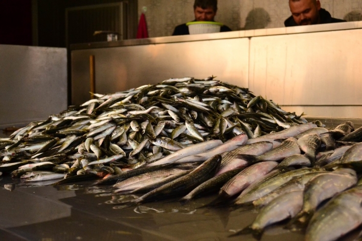 Yüksek Fiyat Balık Satıcılarını Vurdu