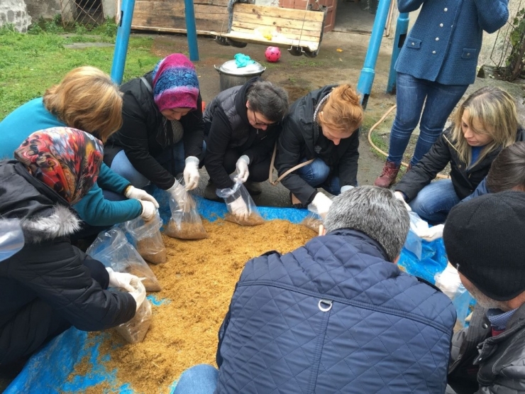 İstiridye Mantarına İlgi Artıyor