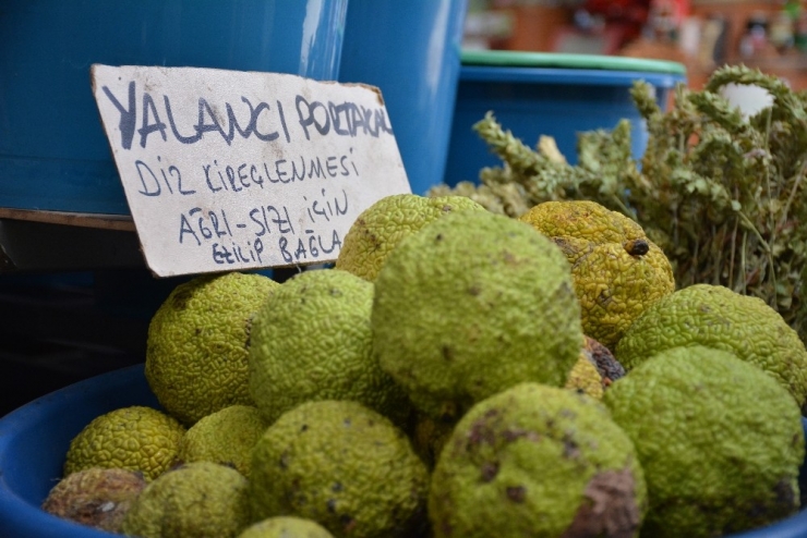 Adı Yalancı Kendi Şifalı