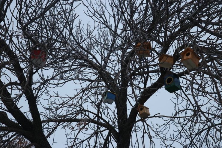 Ağrı’da ’Kuş Evleri’ Yapıldı