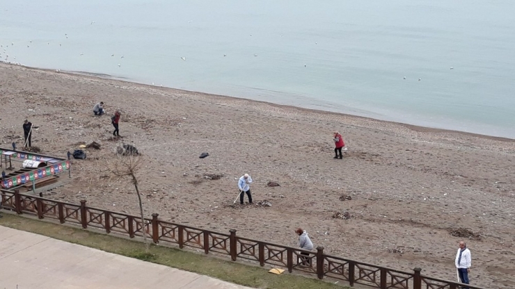 Vatandaşlar Plajı Temizlediler