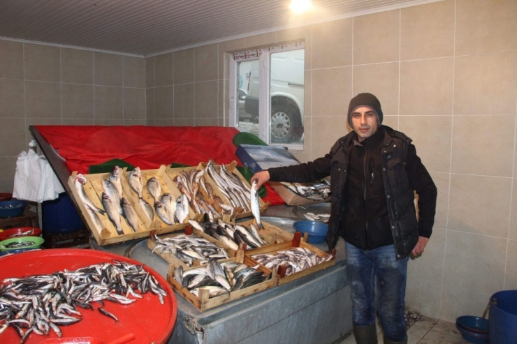 Balık Fiyatları Borsa Gibi