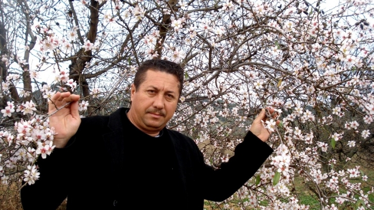 Sarıgöl’de Şubat Ayında Bahar Yaşanıyor