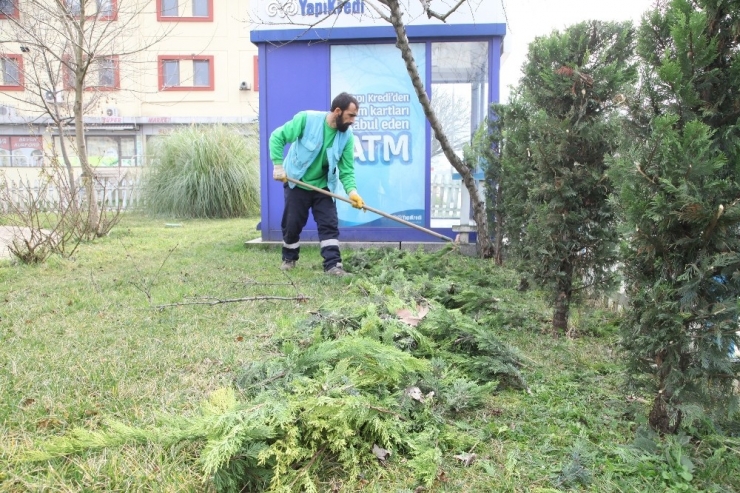 Başiskele Belediyesi Ekipleri, Yeşil Bir Kent İçin Çalışıyor