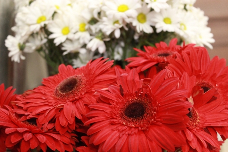 Çiçekçiler Sevgililer Günü’ne Hazır