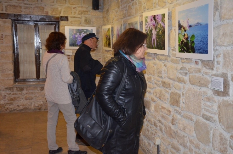 Kuşadası’nın Önemli Bitkileri Tanıtıldı